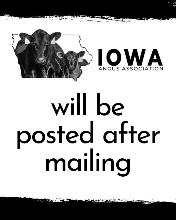 News Iowa Angus Association