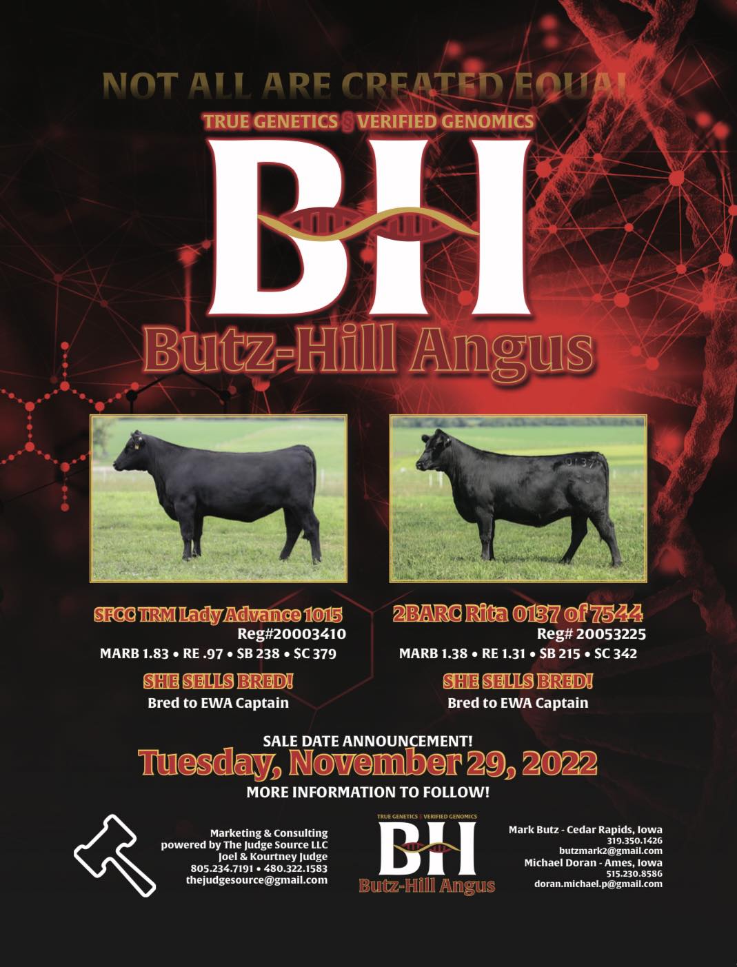 Member Auctions Iowa Angus Association