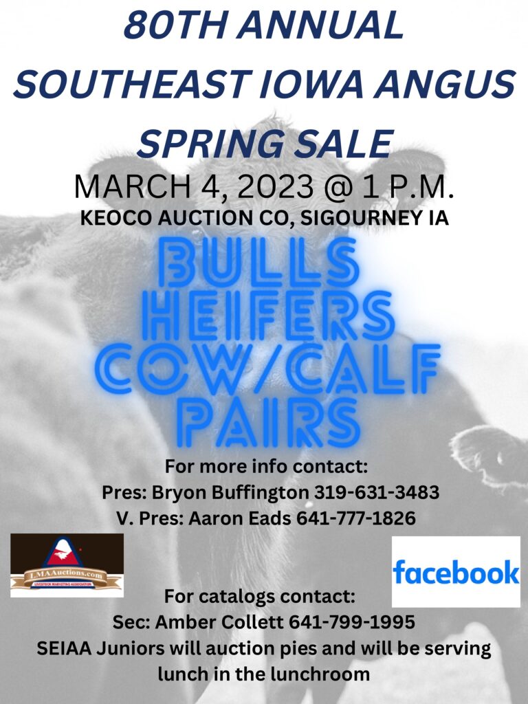 Member Auctions Iowa Angus Association