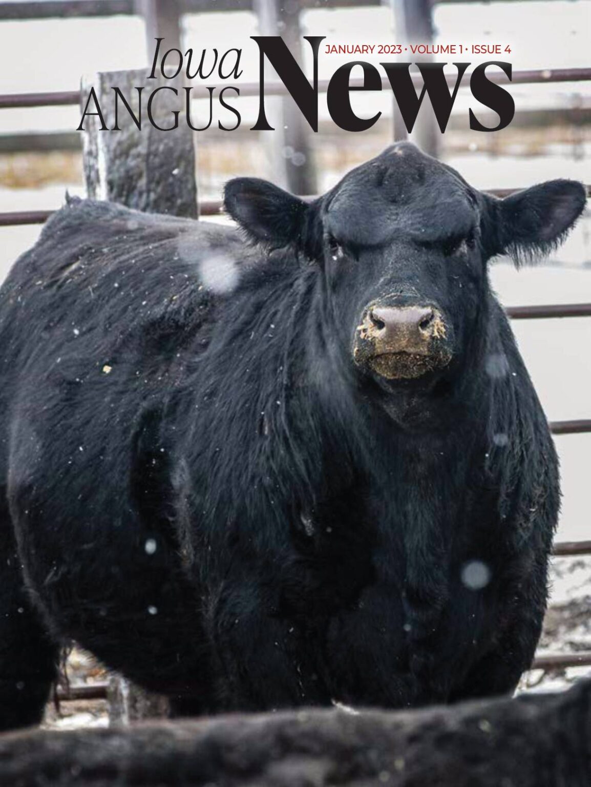 News Iowa Angus Association