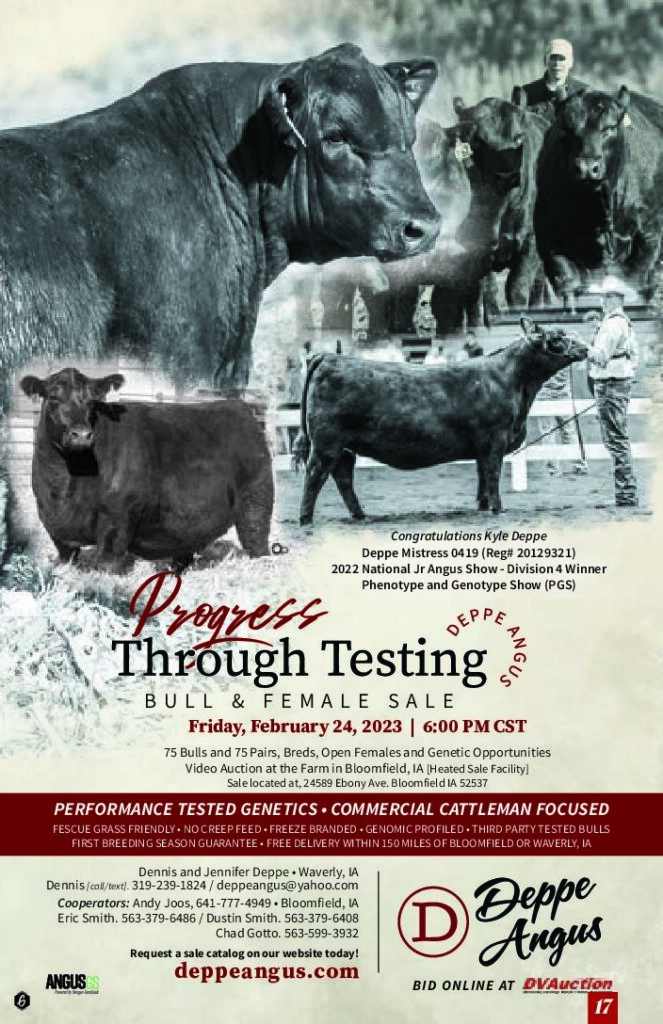 Member Auctions Iowa Angus Association