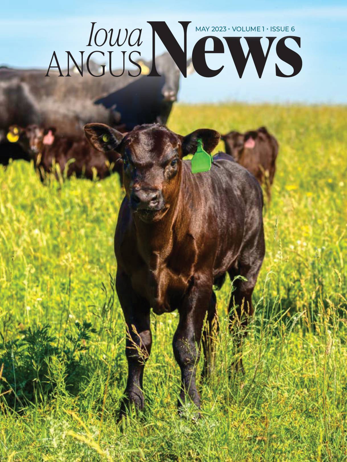 News Iowa Angus Association