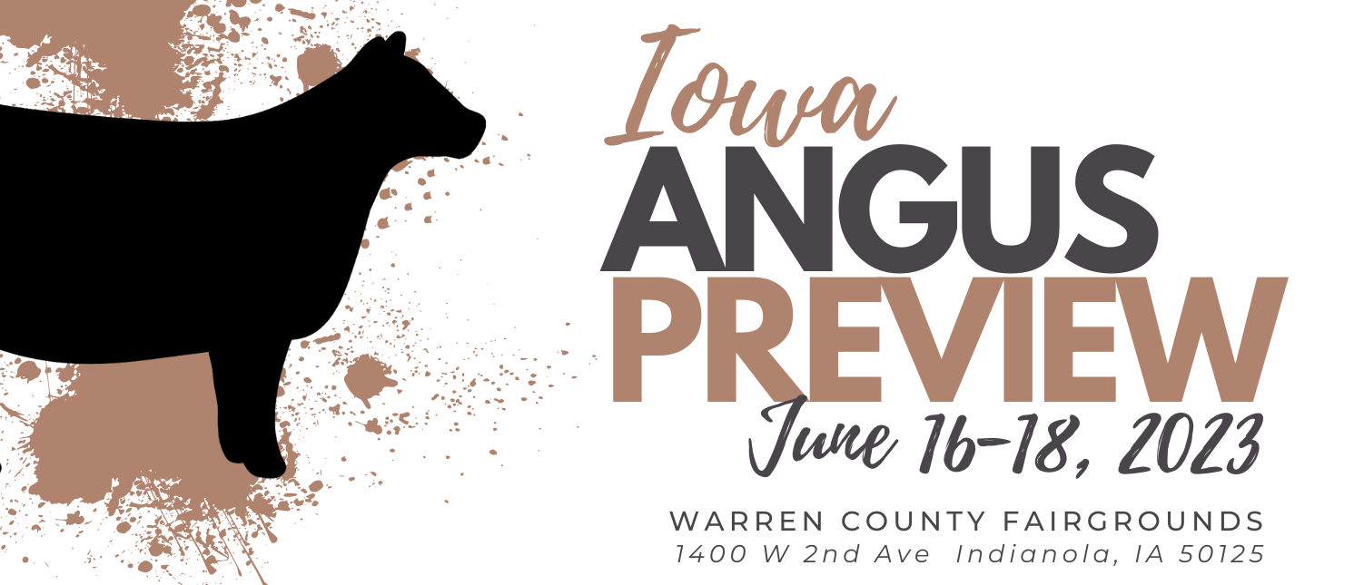 Iowa Angus Preview Iowa Angus Association