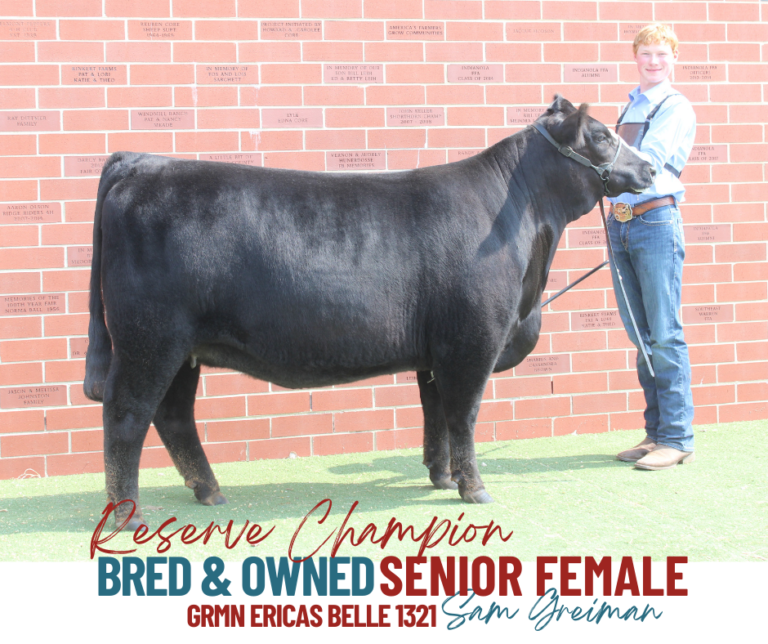 Show Results Iowa Angus Association
