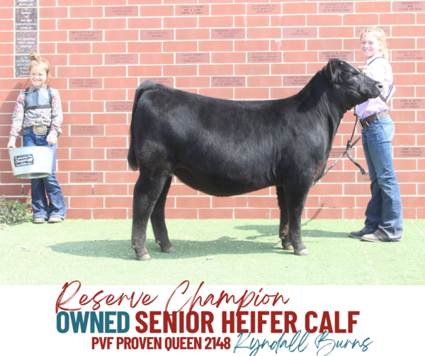 Show Results Iowa Angus Association