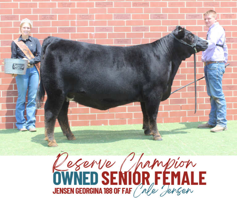 Show Results Iowa Angus Association