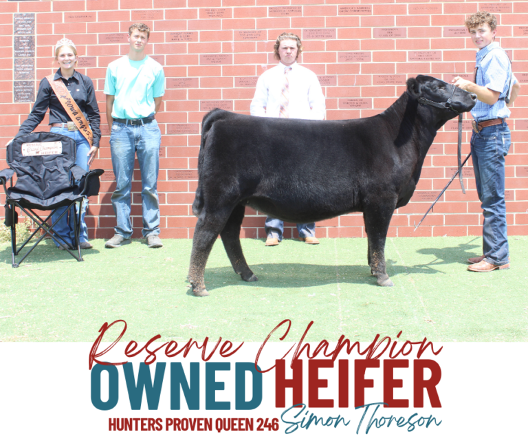 Show Results Iowa Angus Association