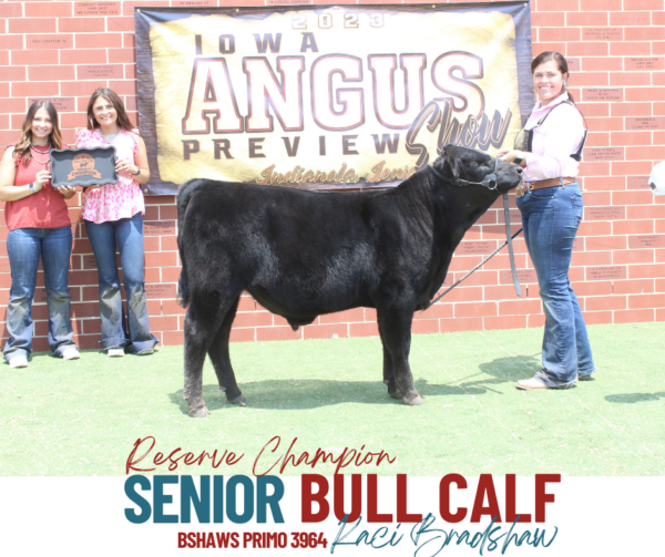 Show Results Iowa Angus Association