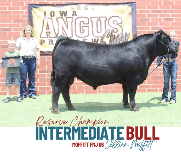 Show Results Iowa Angus Association