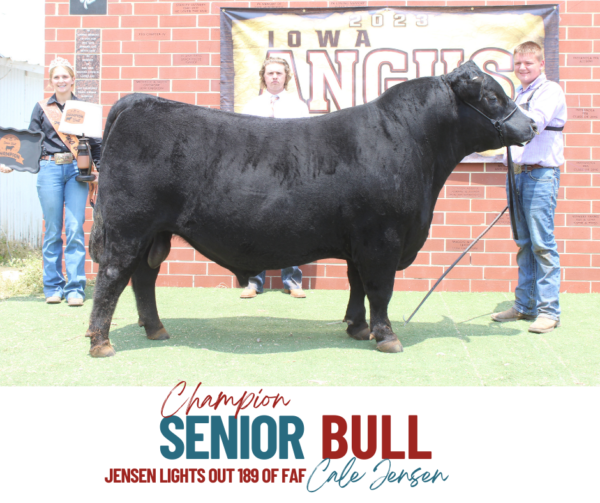 Show Results Iowa Angus Association
