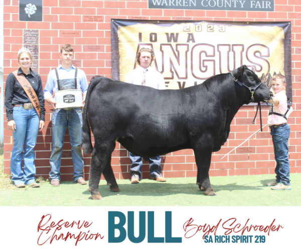 Show Results Iowa Angus Association