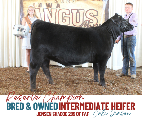 Show Results Iowa Angus Association
