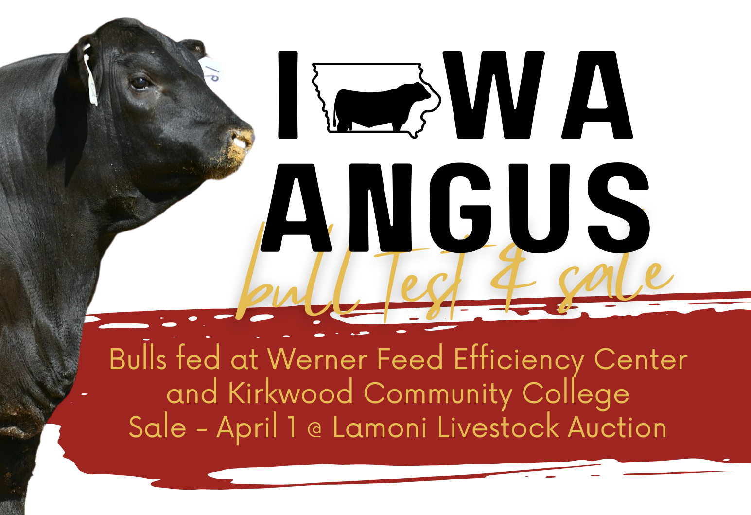 IAA Sales Iowa Angus Association